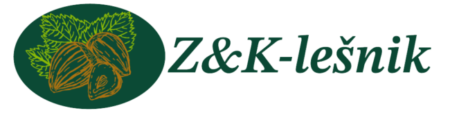 ZiK